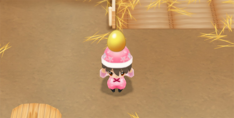 The farmer harvests a Golden Egg in the Coop. / Story of Seasons: Friends of Mineral Town