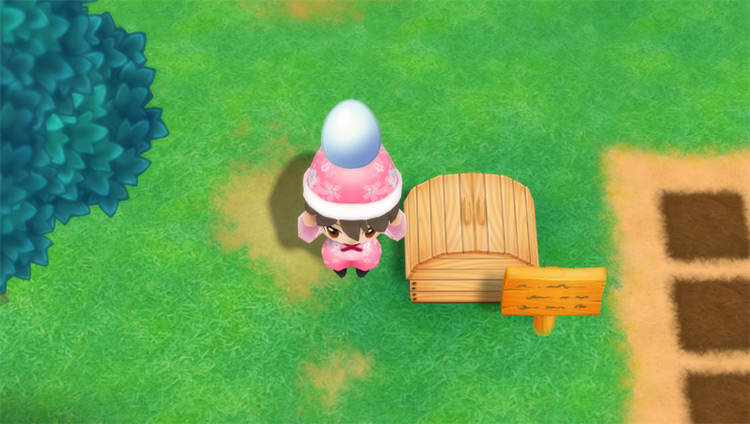 The farmer drops a Platinum Egg into the Shipping Bin. / Story of Seasons: Friends of Mineral Town