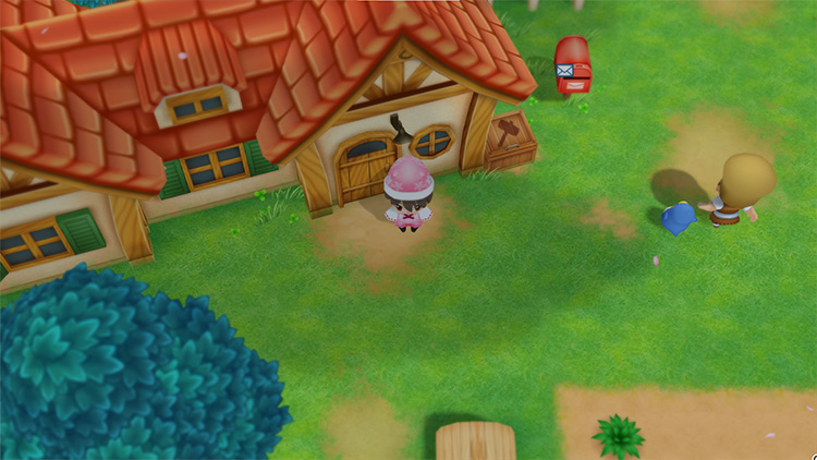 The farmer chooses a pet to compete in the festival. / Story of Seasons: Friends of Mineral Town