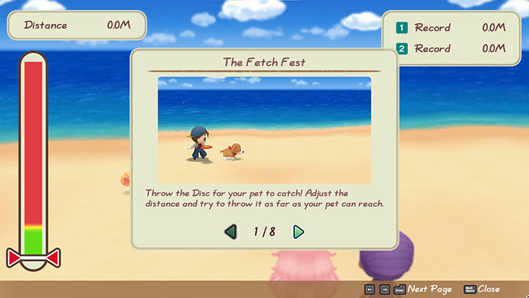 The Fetch Fest Frisbee game starts. / Story of Seasons: Friends of Mineral Town