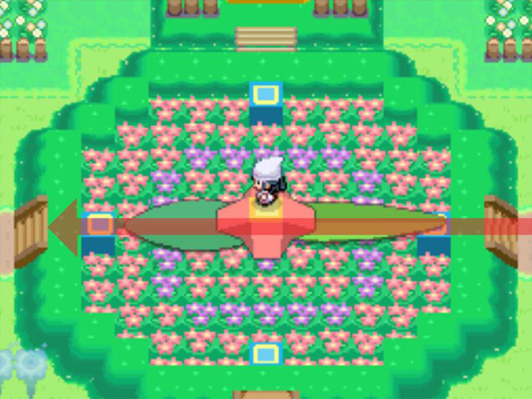 The floral clock after beating Aroma Lady Jenna. / Pokémon Platinum