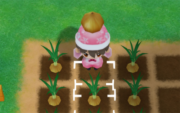 The farmer harvests Onions from a field in the Summer. / Story of Seasons: Friends of Mineral Town