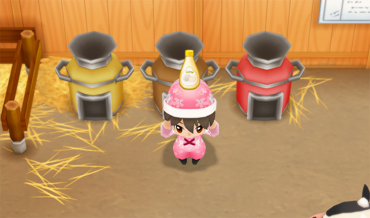 The farmer makes Mayonnaise in the Coop using the Mayonnaise Maker. / Story of Seasons: Friends of Mineral Town