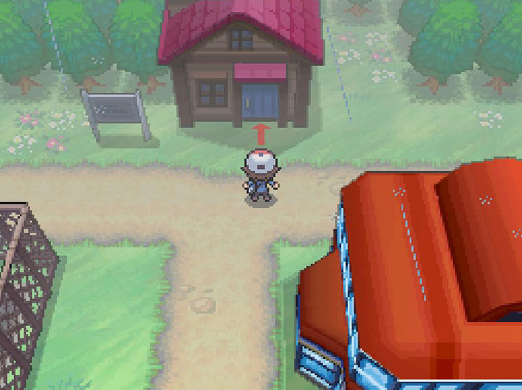 Enter the house North of the Pokémon Center / Pokémon BW