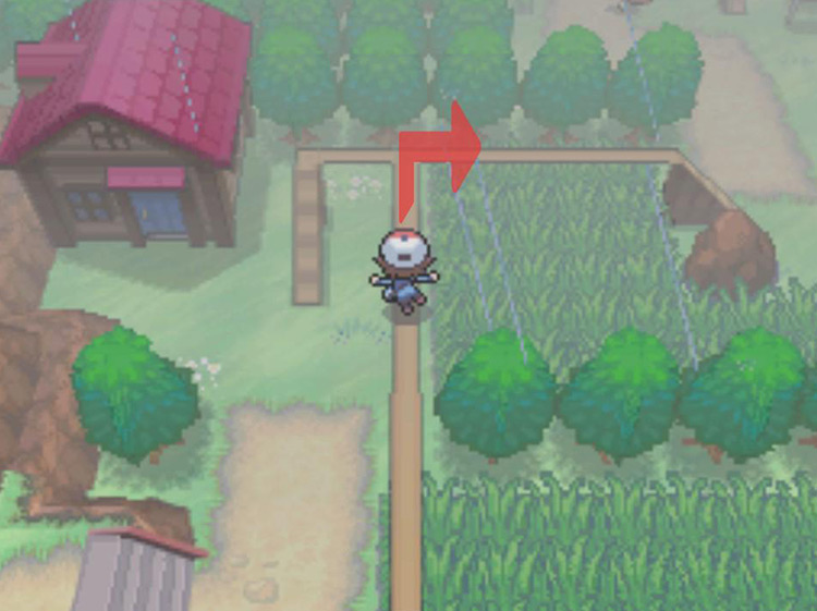 Turn right and step off of the beam path / Pokémon BW