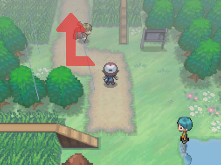 Continue North on Route 7 / Pokémon BW