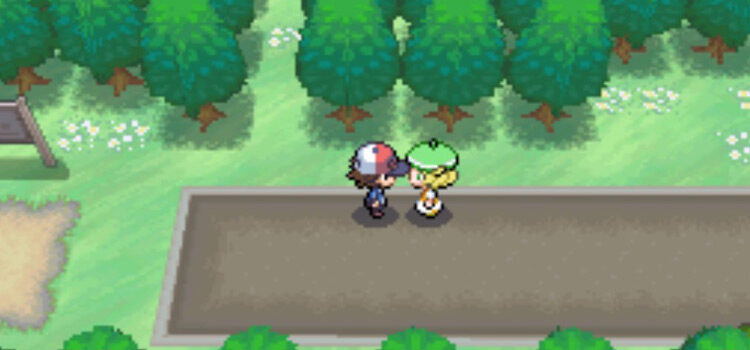 Speaking with Bianca to get HM02 Fly (Pokémon Black)