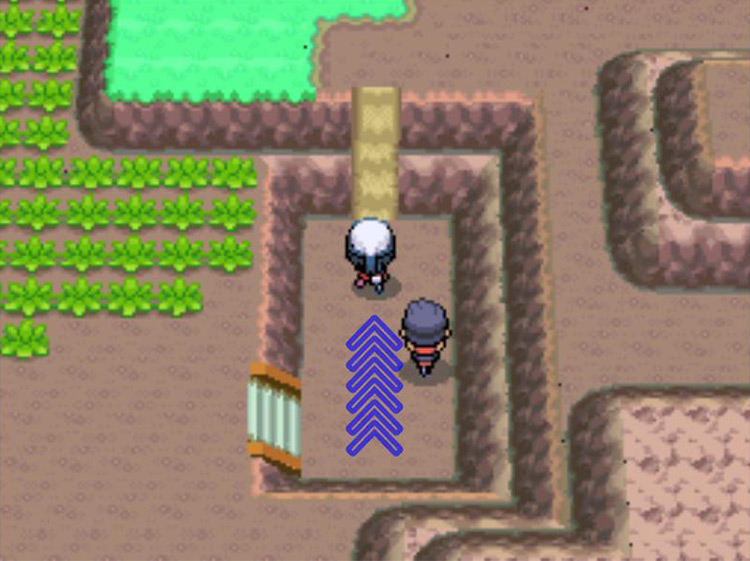 Getting a running start with the Bicycle’s fourth gear. / Pokémon Platinum