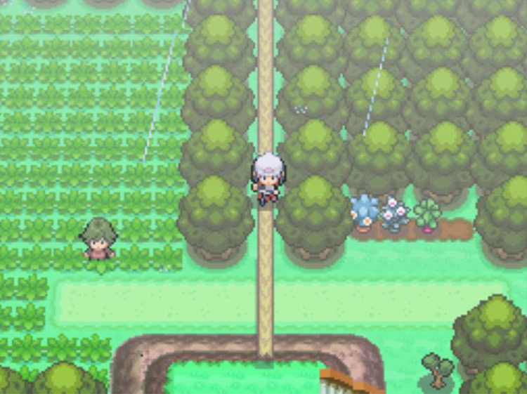 Riding over a fallen log. / Pokémon Platinum