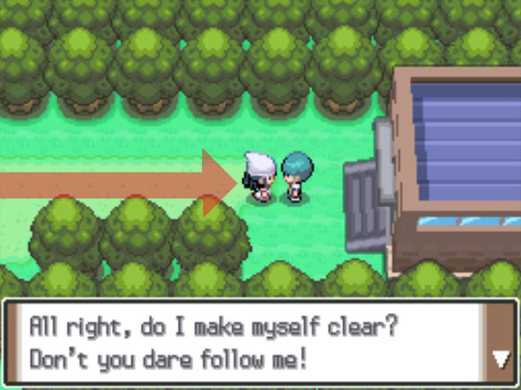 Catching the Grunt the first time. / Pokémon Platinum