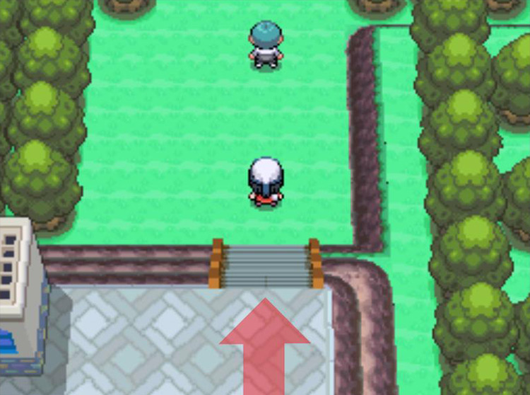 Catching the Grunt for the final time. / Pokémon Platinum