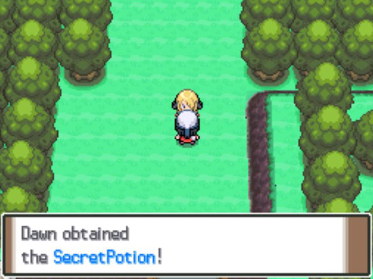 Receiving the Secret Potion from Cynthia. / Pokémon Platinum