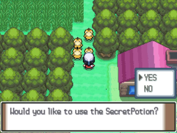 Using the Secret Potion on the Psyduck. / Pokémon Platinum