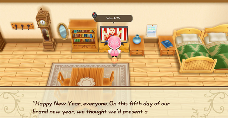 The farmer watches the 5th episode of the New Year's Festivities show. / Story of Seasons: Friends of Mineral Town