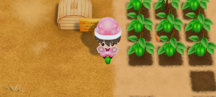 The farmer eats a plate of Pepper Steak to restore stamina while watering crops. / Story of Seasons: Friends of Mineral Town
