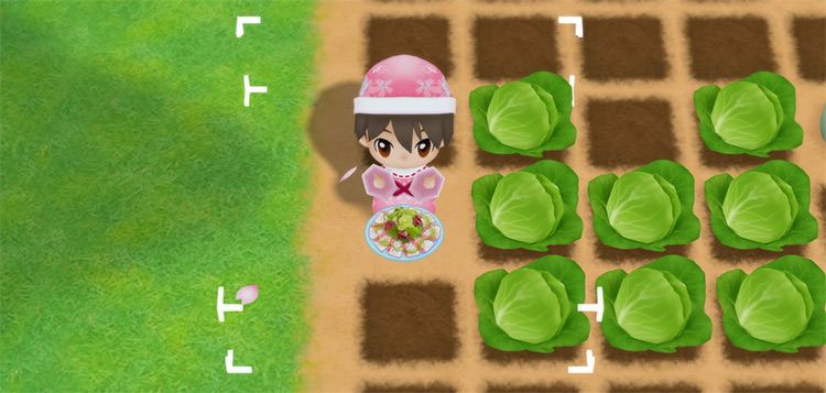 The farmer eats a plate of Carpaccio to restore stamina while watering crops. / Story of Seasons: Friends of Mineral Town