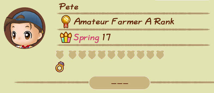 An Achievement Ring on the character profile / Story of Seasons: Friends of Mineral Town
