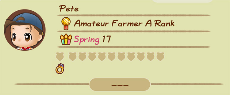 An Achievement Ring appears on the farmer’s character page. / Story of Seasons: Friends of Mineral Town