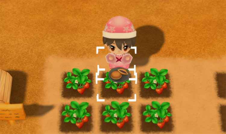 The farmer eats a plate of Dorayaki to restore stamina while watering crops. / Story of Seasons: Friends of Mineral Town