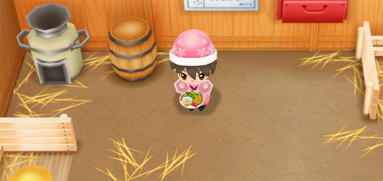 The farmer eats a plate of Bagna Cauda to restore stamina while working in the Coop. / Story of Seasons: Friends of Mineral Town