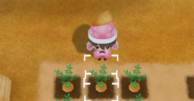 The farmer harvests Carrots from a field in Autumn. / Story of Seasons: Friends of Mineral Town