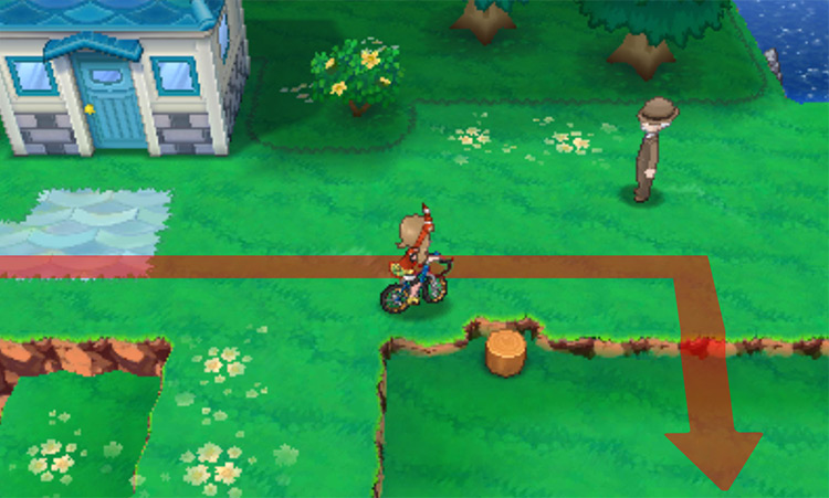 Ledges that lead to the location of the TM / Pokémon Omega Ruby and Alpha Sapphire