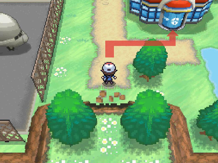 Entering the Mistralton City Pokémon Center / Pokémon Black/White