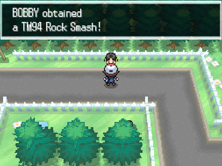 Getting TM94 Rock Smash / Pokémon Black/White
