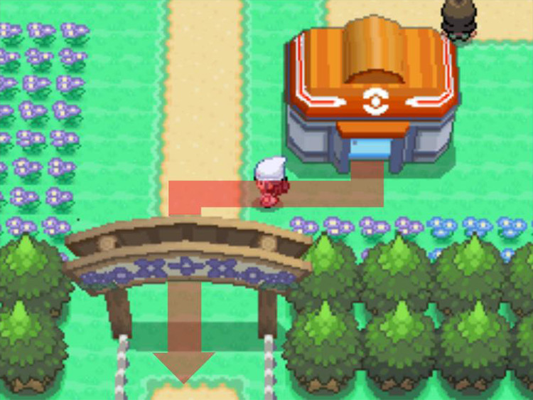 Floaroma Town’s southern entrance. / Pokémon Platinum