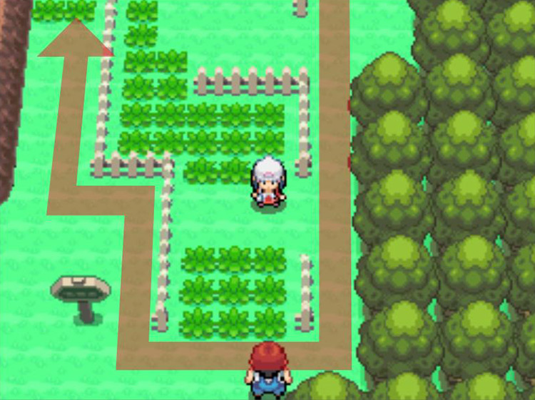 Changing direction and heading north of the “Lake Valor” sign. / Pokémon Platinum