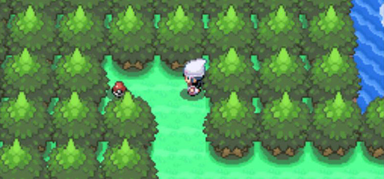 TM89 outside of Canalave City in Pokémon Platinum