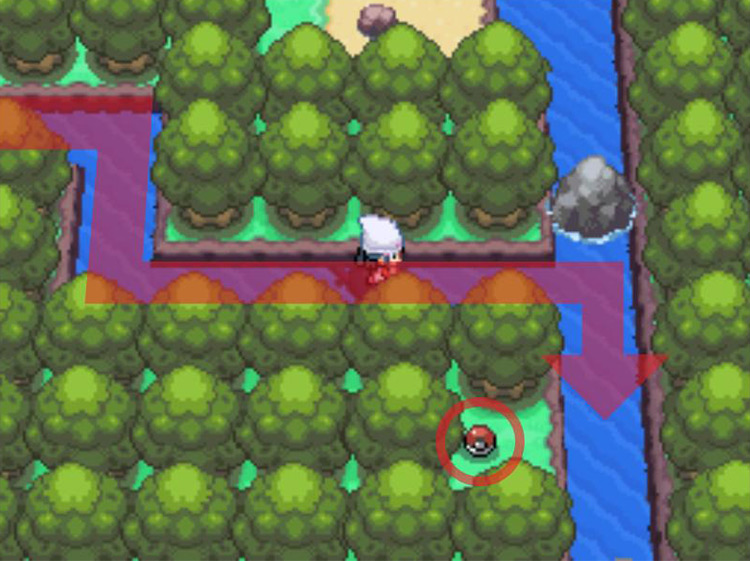 TM19 Giga Drain in a small clearing. / Pokémon Platinum