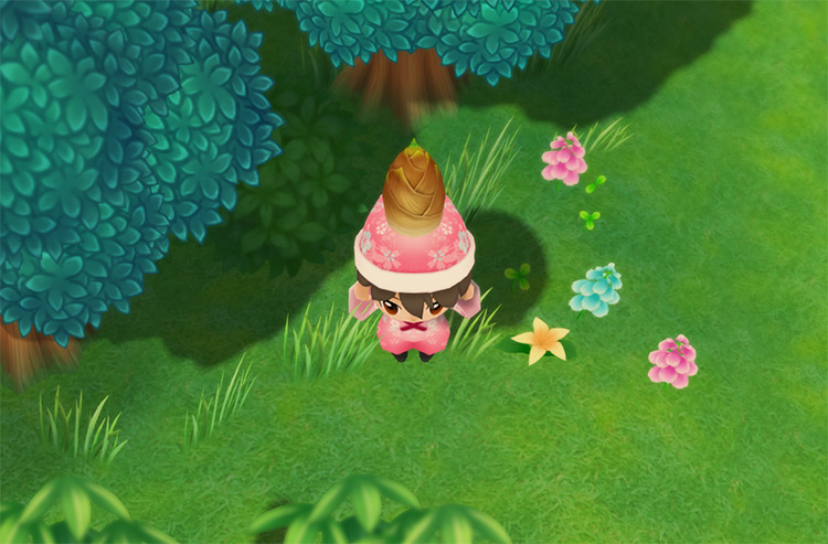 Foraging Bamboo Shoots / Story of Seasons: Friends of Mineral Town