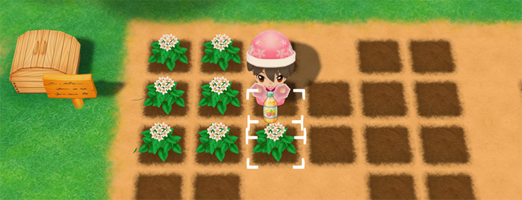 The farmer drinks Mixed Juice to restore stamina while watering crops. / Story of Seasons: Friends of Mineral Town
