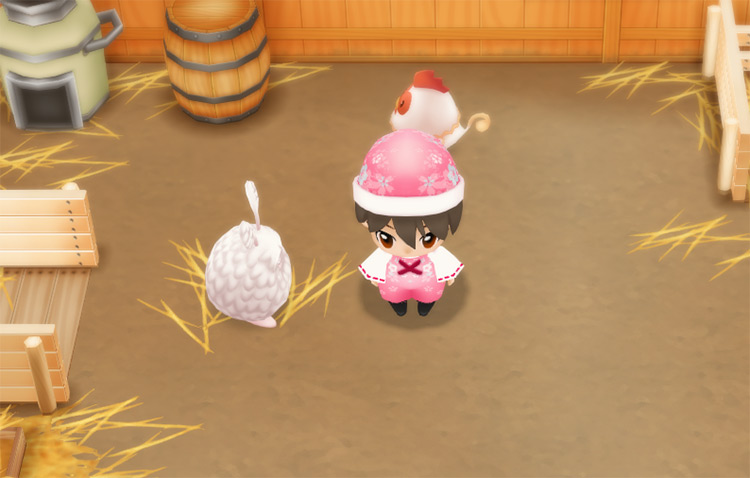 The farmer stands next to an Angora Rabbit in the coop. / Story of Seasons: Friends of Mineral Town
