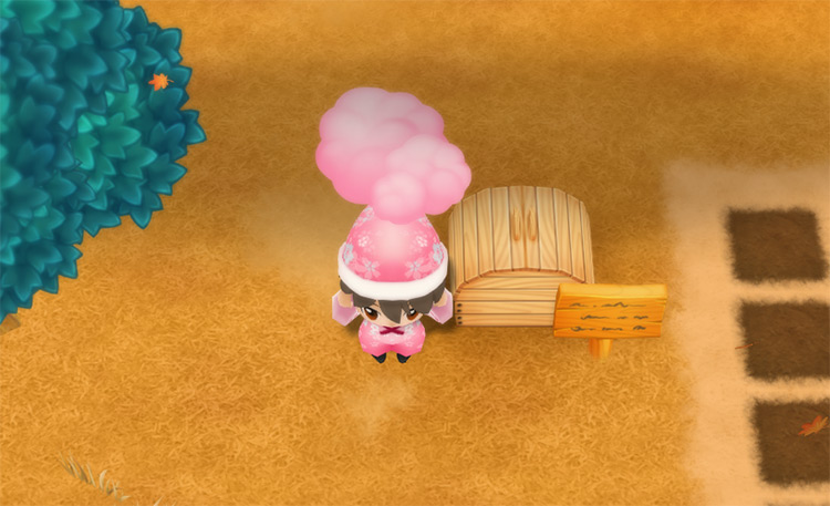 The farmer drops an X Wool into the Shipping Bin. / Story of Seasons: Friends of Mineral Town