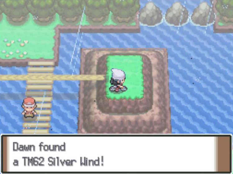 Acquiring TM62 Silver Wind on Route 212 / Pokémon Platinum