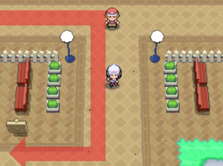 Turning south at the fisherman NPC, then west at the sign / Pokémon Platinum