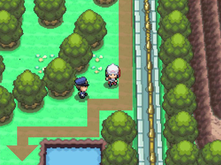 Keeping to the right of Route 212 until the first pond / Pokémon Platinum