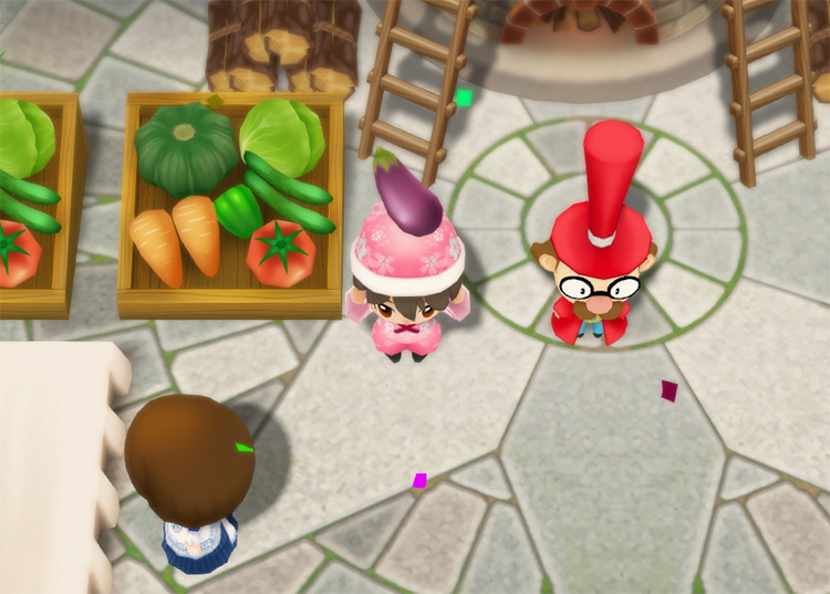 The farmer adds an Eggplant to the potluck. / Story of Seasons: Friends of Mineral Town