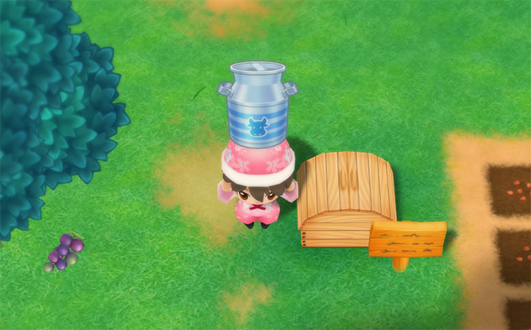 The farmer drops a bottle of X Milk into the Shipping Bin. / Story of Seasons: Friends of Mineral Town