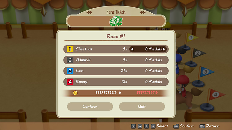 Interface of the betting tickets menu. / Story of Seasons: Friends of Mineral Town
