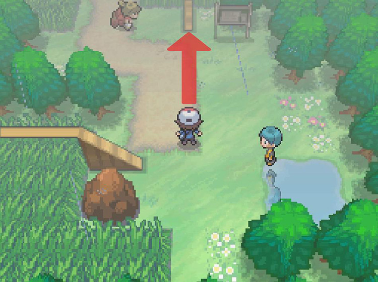 Head North and step onto the second beam. / Pokémon Black and White