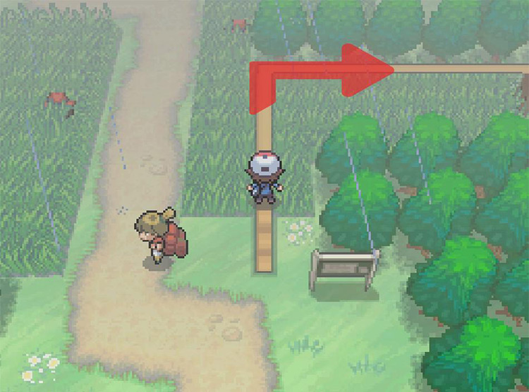 Turn right on the beam. / Pokémon Black and White