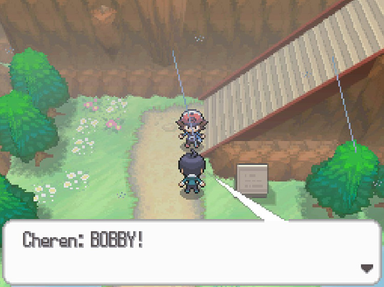 Cheren will challenge you to a battle before you reach the stairs. / Pokémon Black and White