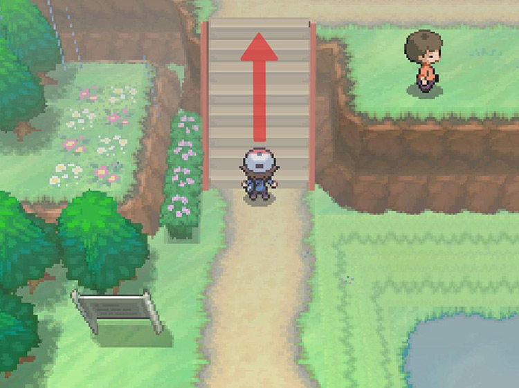 Continue north up the stairs. / Pokémon Black and White