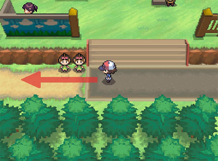 Head west past the twin trainers. / Pokémon Black and White