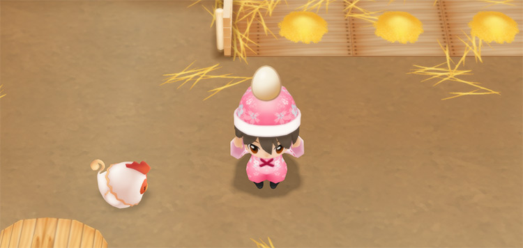 The farmer harvests eggs in the Coop. / Story of Seasons: Friends of Mineral Town