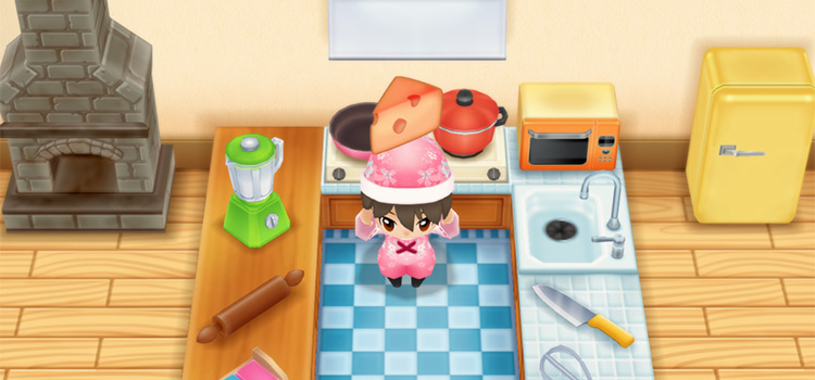 Holding a piece of X Cheese in the kitchen in SoS:FoMT