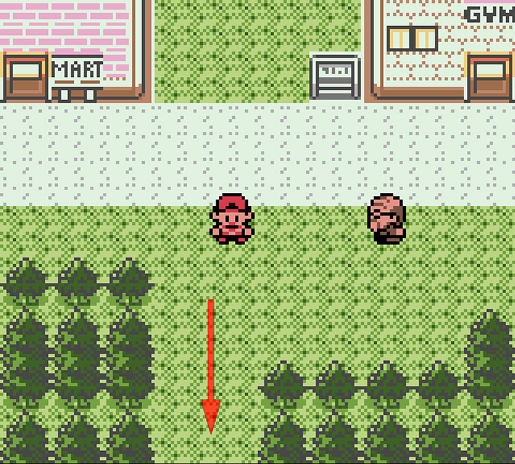 Finding Route 32 from Violet City / Pokémon Crystal